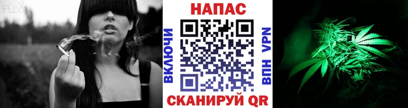 Шишки марихуана конопля  даркнет сайт  Безенчук 